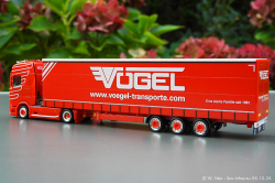 20241006-Voegel-00025