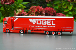 20241006-Voegel-00026