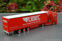 20241006-Voegel-00029