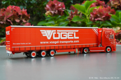 20241006-Voegel-00032
