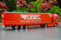 20241006-Voegel-00036