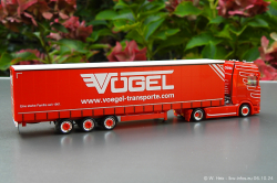 20241006-Voegel-00037