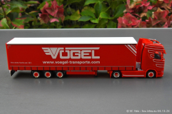 20241006-Voegel-00038