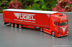 20241006-Voegel-00041