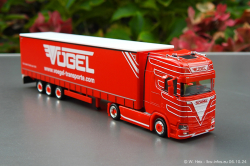 20241006-Voegel-00047