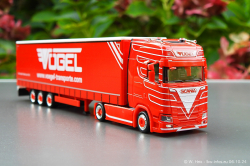 20241006-Voegel-00048