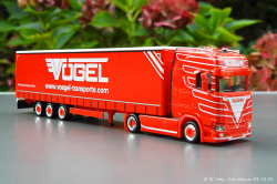 20241006-Voegel-00049