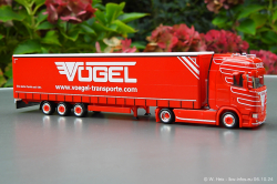 20241006-Voegel-00050