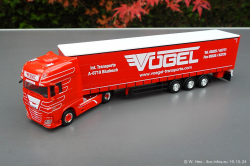 20241019-Voegel-00001