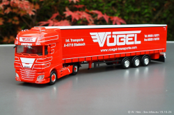 20241019-Voegel-00002