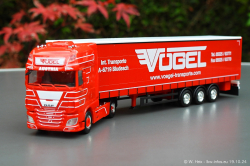 20241019-Voegel-00003
