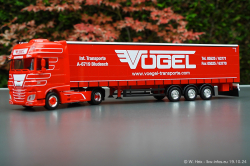 20241019-Voegel-00005