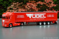 20241019-Voegel-00006