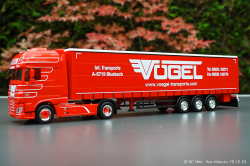 20241019-Voegel-00010