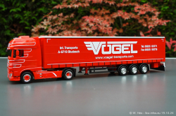 20241019-Voegel-00011