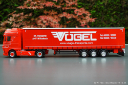 20241019-Voegel-00013