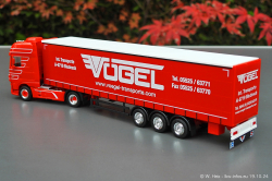 20241019-Voegel-00015