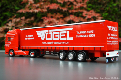20241019-Voegel-00017