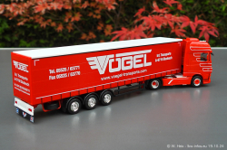20241019-Voegel-00026