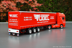 20241019-Voegel-00028