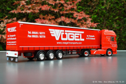 20241019-Voegel-00029