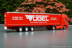 20241019-Voegel-00034