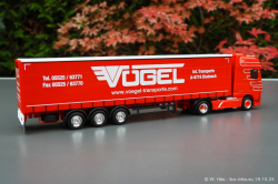 20241019-Voegel-00035