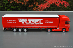 20241019-Voegel-00036