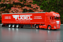 20241019-Voegel-00043