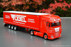 20241019-Voegel-00045