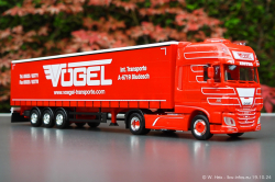 20241019-Voegel-00048