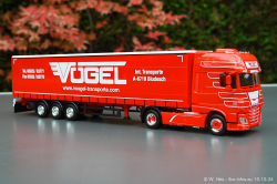 20241019-Voegel-00049