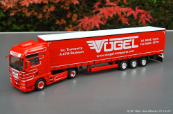 20241019-Voegel-00052
