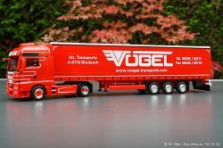 20241019-Voegel-00057