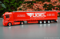 20241019-Voegel-00058