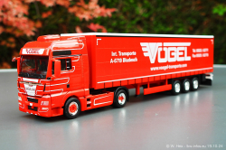 20241019-Voegel-00060