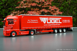 20241019-Voegel-00063