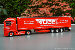 20241019-Voegel-00064