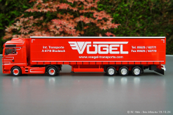 20241019-Voegel-00066