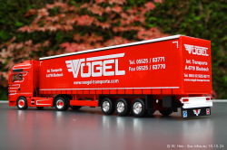 20241019-Voegel-00070