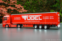 20241019-Voegel-00071