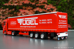 20241019-Voegel-00075