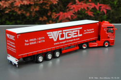 20241019-Voegel-00079