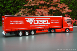 20241019-Voegel-00082