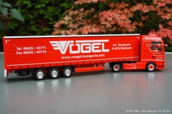 20241019-Voegel-00083