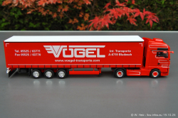20241019-Voegel-00089