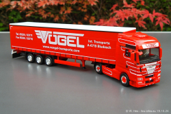 20241019-Voegel-00092