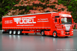 20241019-Voegel-00094