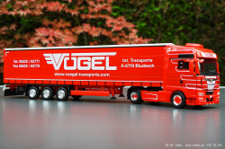 20241019-Voegel-00096