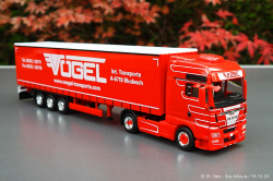 20241019-Voegel-00098